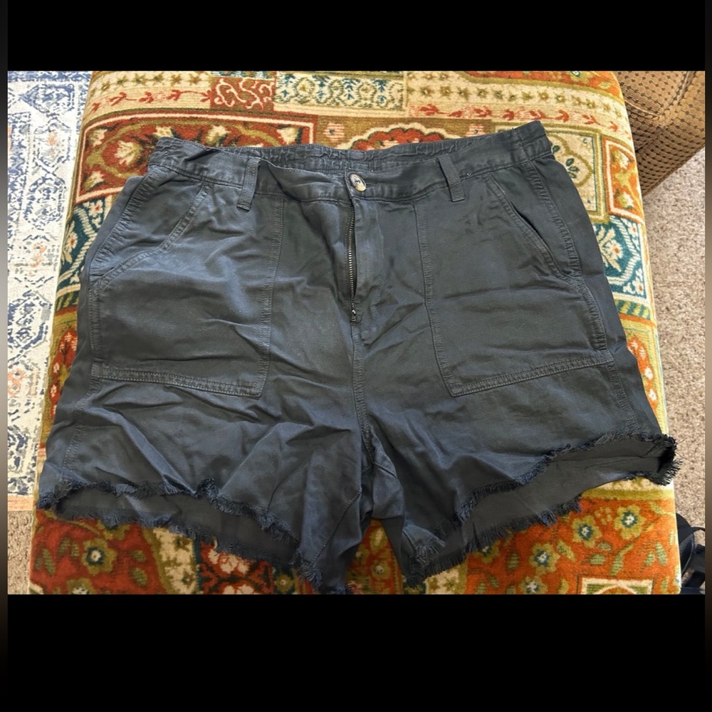 Aerie Camp Shorts Size L
